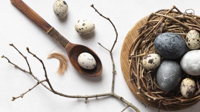 Flache lage der ostereier im vogelnest mit holzloeffel und zweig