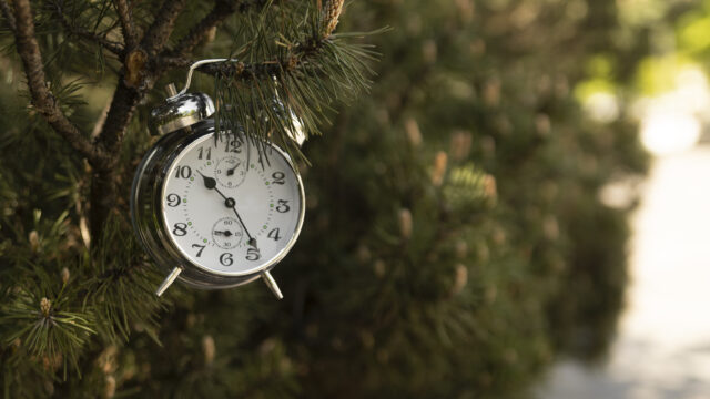 Kreisuhr im freien stillleben