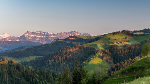 20190531 Trub Sommer 243