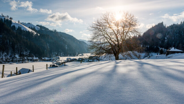 20190212 Trub Winter 39